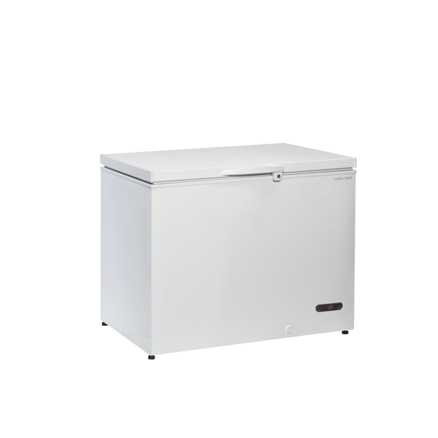 CHEST COOLER WITH STANDARD TOP CFP 309 - 300 Lt