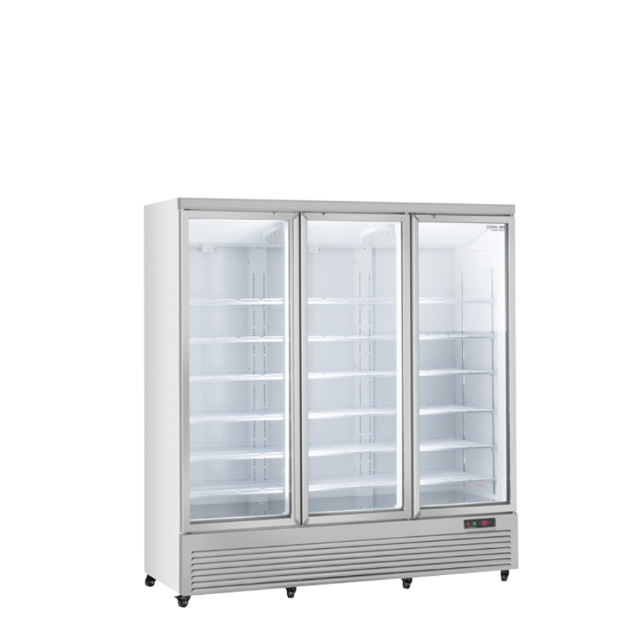 UPRIGHT DRINK COOLER RCG 1900 - 1600 Lt